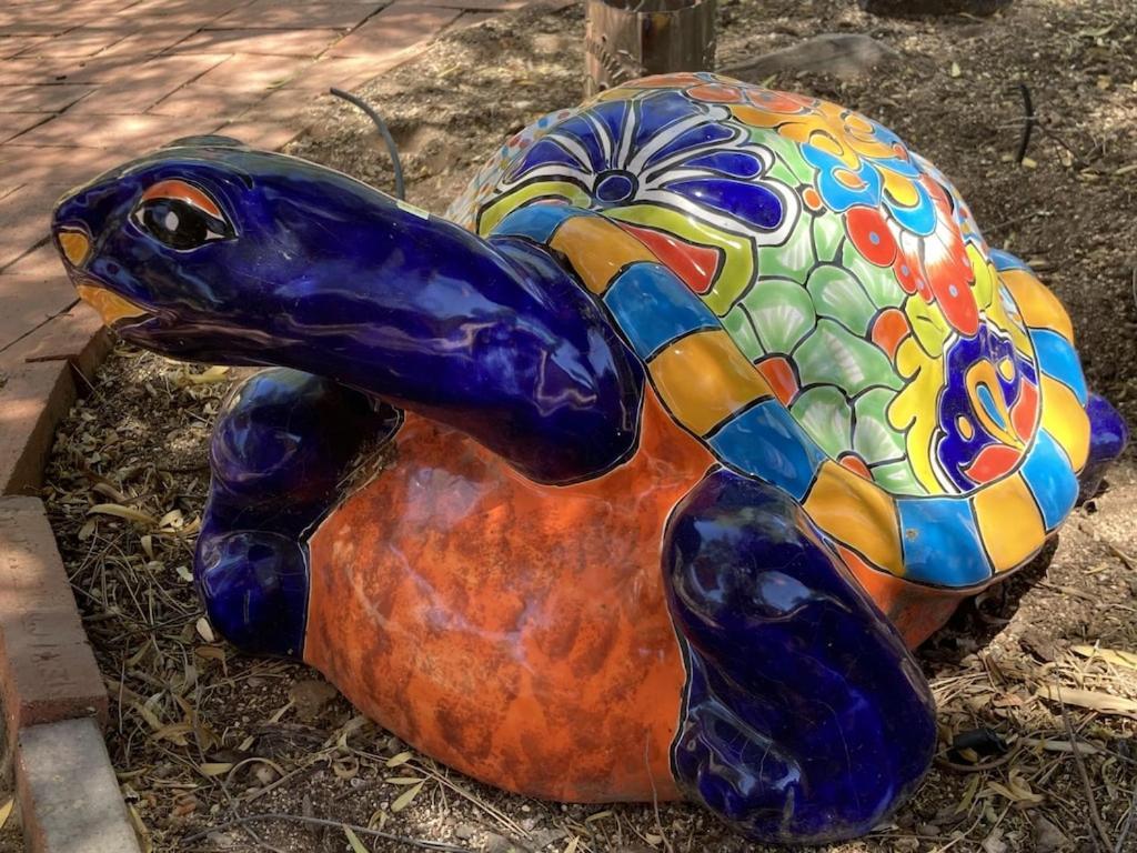Casa Azul - Cute Centrally Located Adobe With Large Fenced Outdoor Living For Pets And Adults, Non-Smoking Tucson Dış mekan fotoğraf